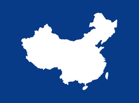 中國分公司